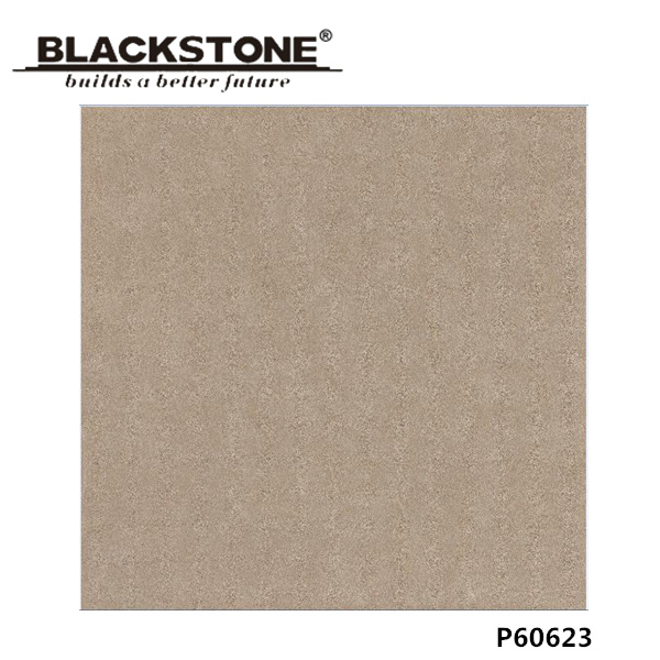 New Arrival 600X600mm Glazed Porcelain Tile with Rustic Surface (P60623)