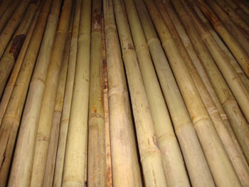 Raw Organic Material Tonkin Bamboo Poles