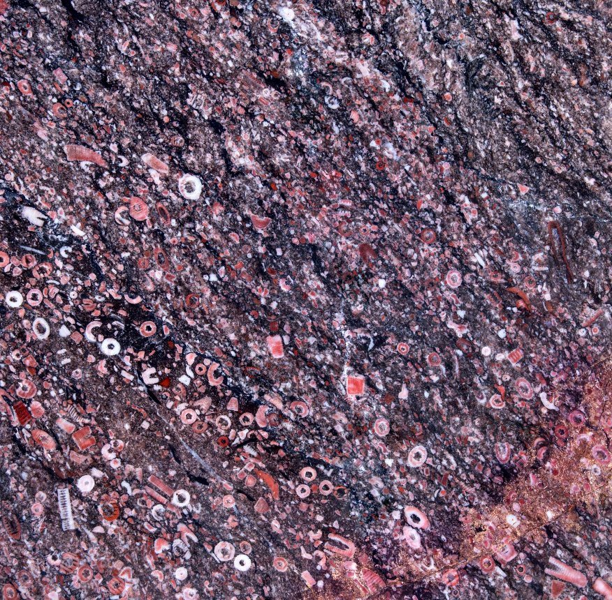 Popular New Granite Stone Ocean Red Marble Tile and Slabs