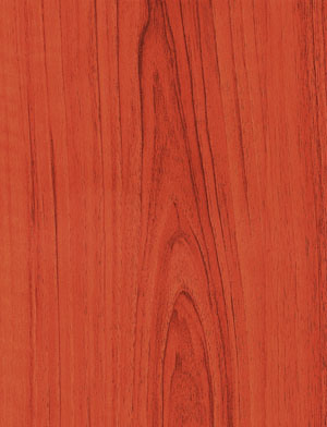 Laminate Flooring--KN1181