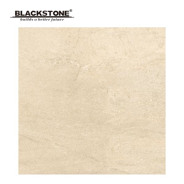 600X600mm Hot Design Porcelain Rustic Floor Tiles (663001NBC3)