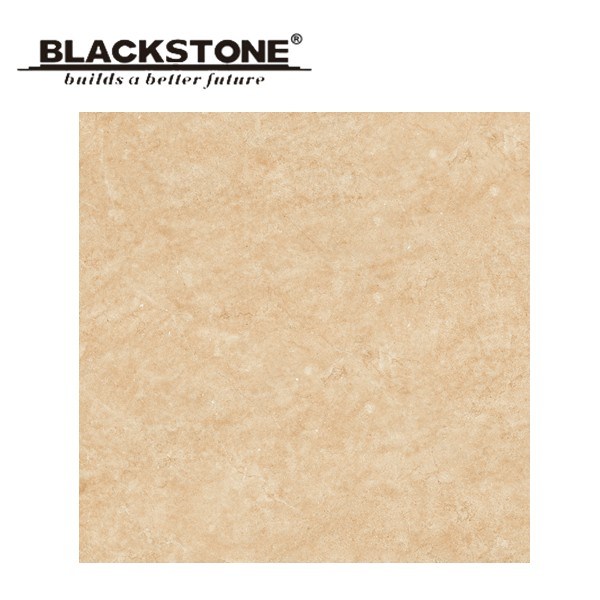 Hot Sale Rustic Porcelain Floor Tile 600X600 (BLY6082T)