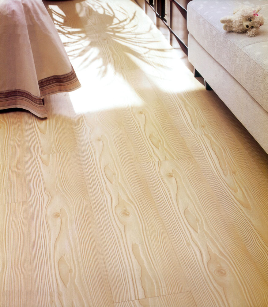 12mm German Technology HDF Laminated Flooring