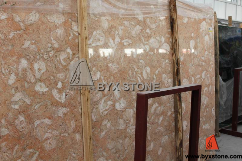 Butterfly Beige / Fossilous Beige Marble Slab