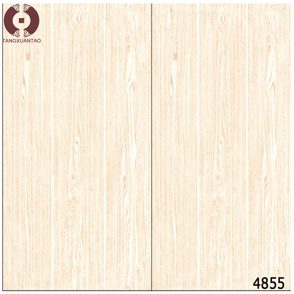 Building Material Digital Wall Tile Floor Tiles (4855)