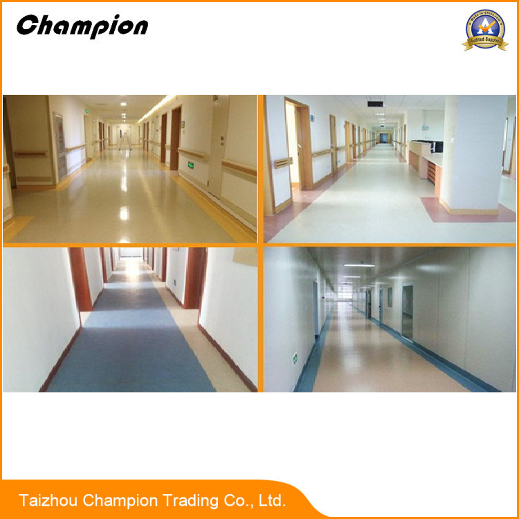 Indoor/Gym/Hotel/Hospital/Office PVC Flooring, Good Sale PVC Flooring Used Kindergarten/Vinyl Flooring Plastic Floor Used Indoor