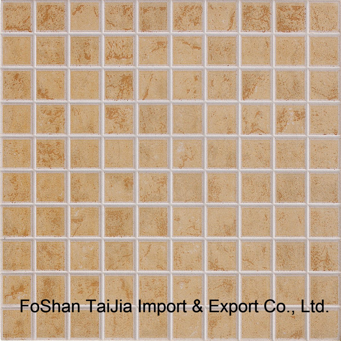 Building Material 300X300mm Rustic Porcelain Tile (TJ3206)