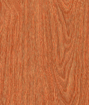 Laminate Flooring (KN1262)