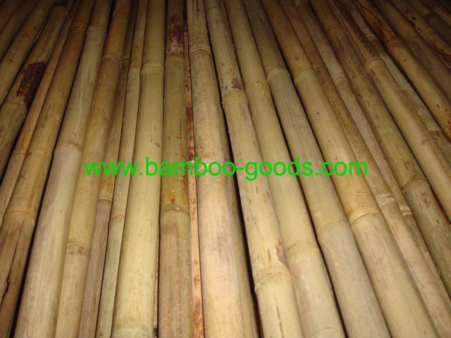 Bamboo Poles for Garden Plant