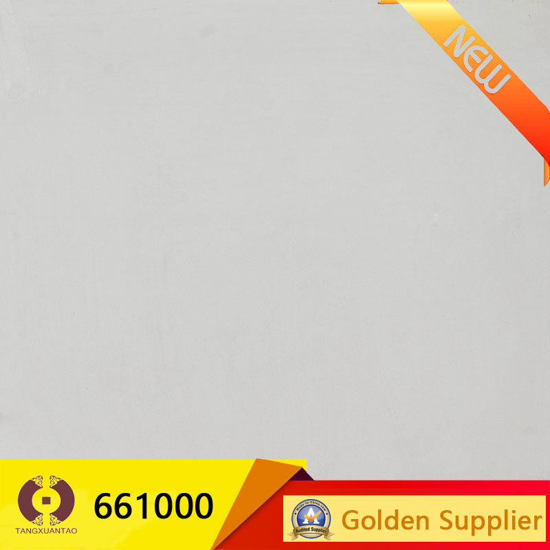 600X600mm Full Body Grey Porcelain Floor Tile (661000)