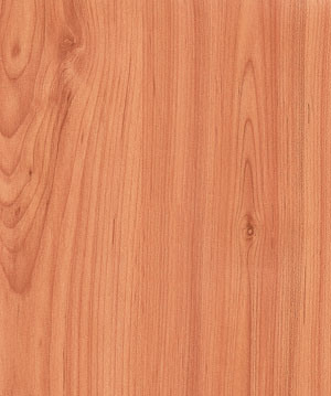 HDF AC3 E1 E0 High Quality Laminate Flooring (KN1304)