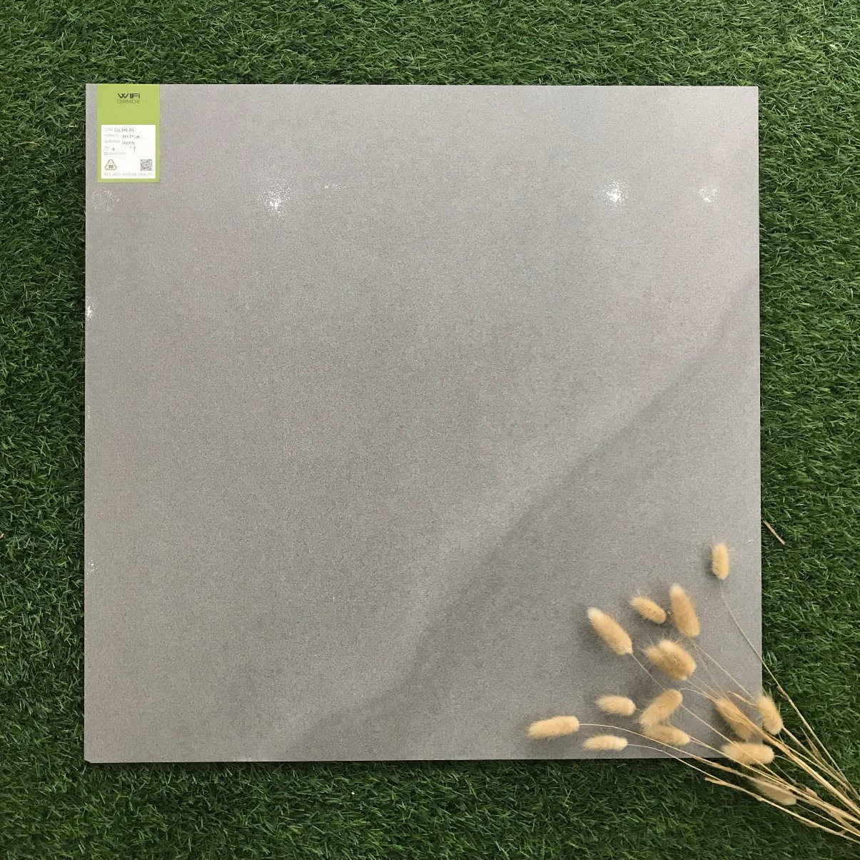 600*600mm Building Material Ceramic Wall Tile for Bathroom (DOL602G)