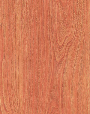 Laminate Flooring (KN1319)