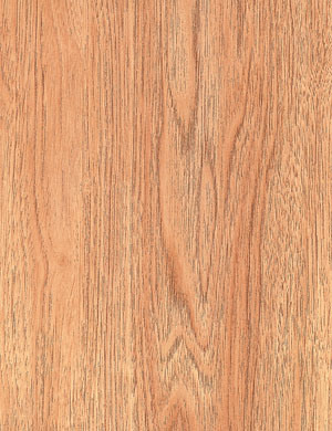 Laminate Flooring--Kn1251