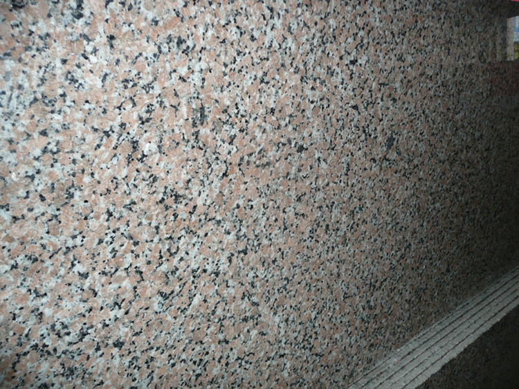 Granite Slab Polished G563 Granite Stone Tiles for Sale