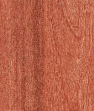 Laminate Flooring (KN1225)