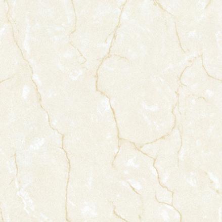 Soluble Salt Polished Tile Fs6008 Made in Foshan