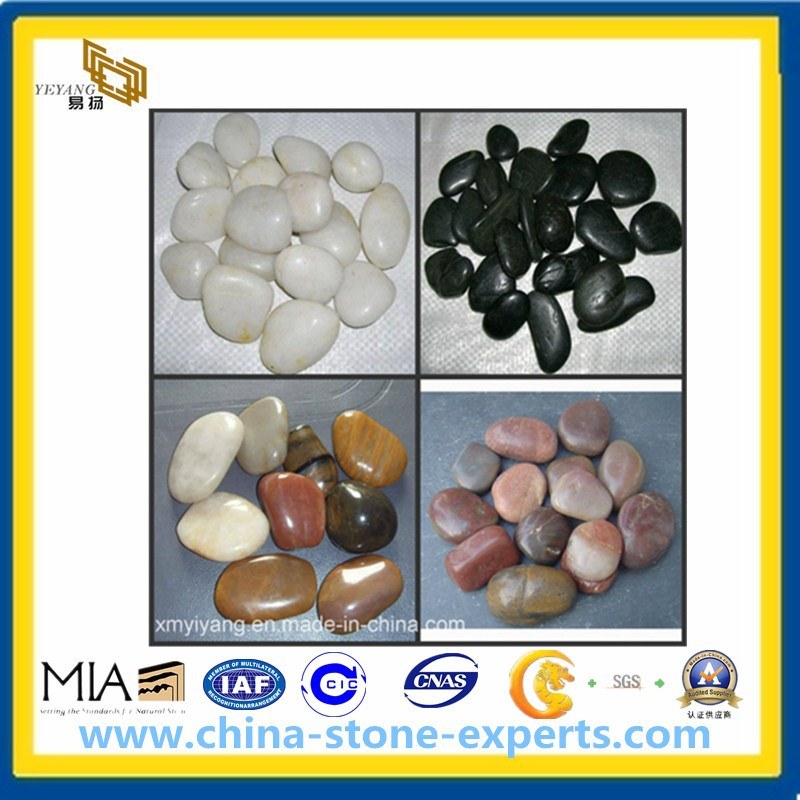 Pebble Stone/Cobblestone for Landscape (YY-black/white/red/yellow pebbles)