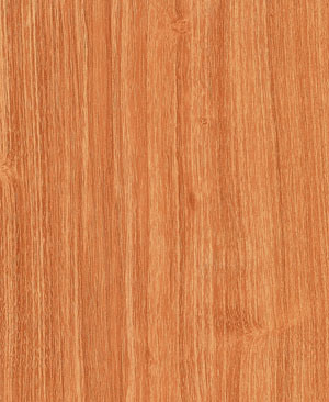 Classical Laminate Flooring -Kn1201