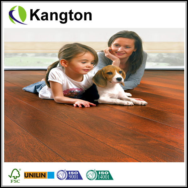 Waterproof Parquet Laminate Flooring 12mm (laminate flooring)