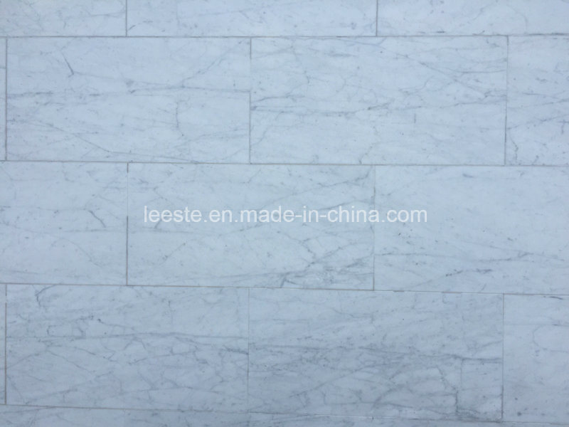 Hot Sell Bianco Carrara White Marble Tile for Flooring