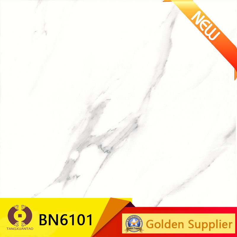 New Design Glazed Floor Tile Porcelain Tile (BN6101)