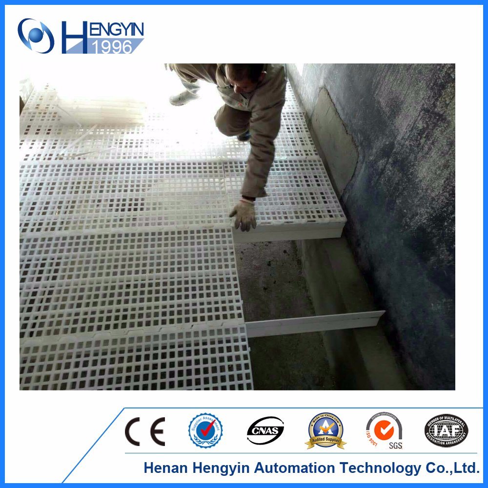 Chicken Plastic Slat Elevator Floor