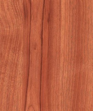 Laminate Flooring (KN1192)