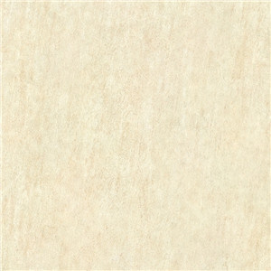 Matt Tile Rustic Ceramic Floor Tiles Modern Design (600*600)