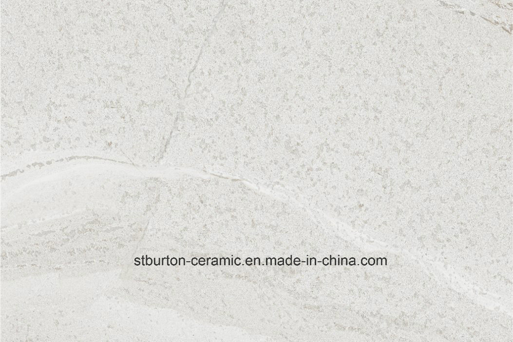 Soft Light Grey Color Matt Surface Porcelain Floor Tile Rustic Tile 600X600m SIM6681