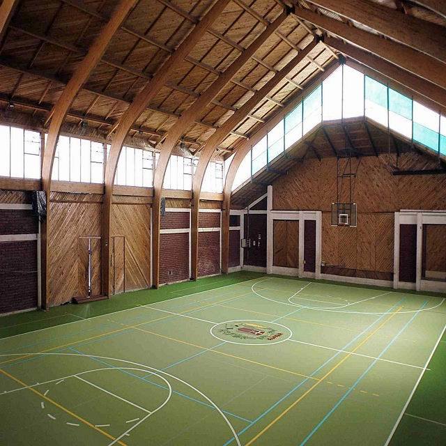 Indoor PVC Wooden Pattern Baskestball Flooring Made in China