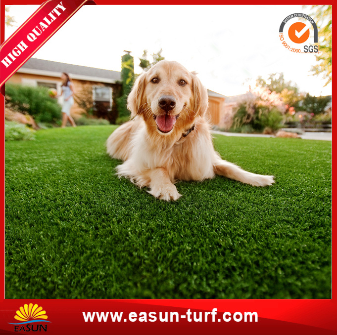 Outdoor Eco-Friendly Pet Turf Grass Price for Garden