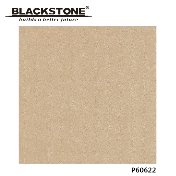 Good Quality 600X600mm Glazed Matt Porcelain Floor Tile (P60622)