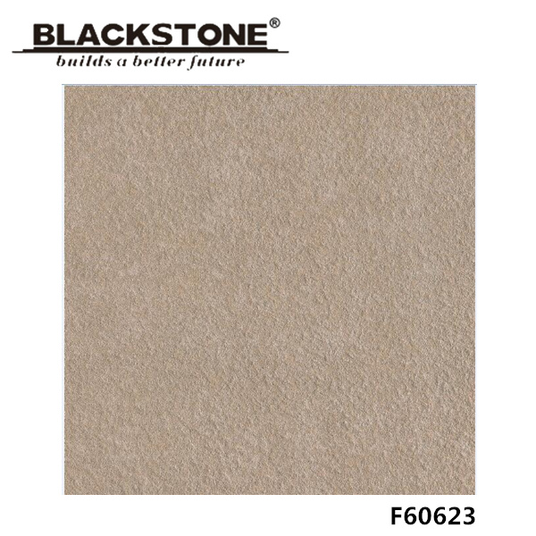 New Arrival 600X600mm Glazed Porcelain Flooring Tile with Matt Surface (F60623)