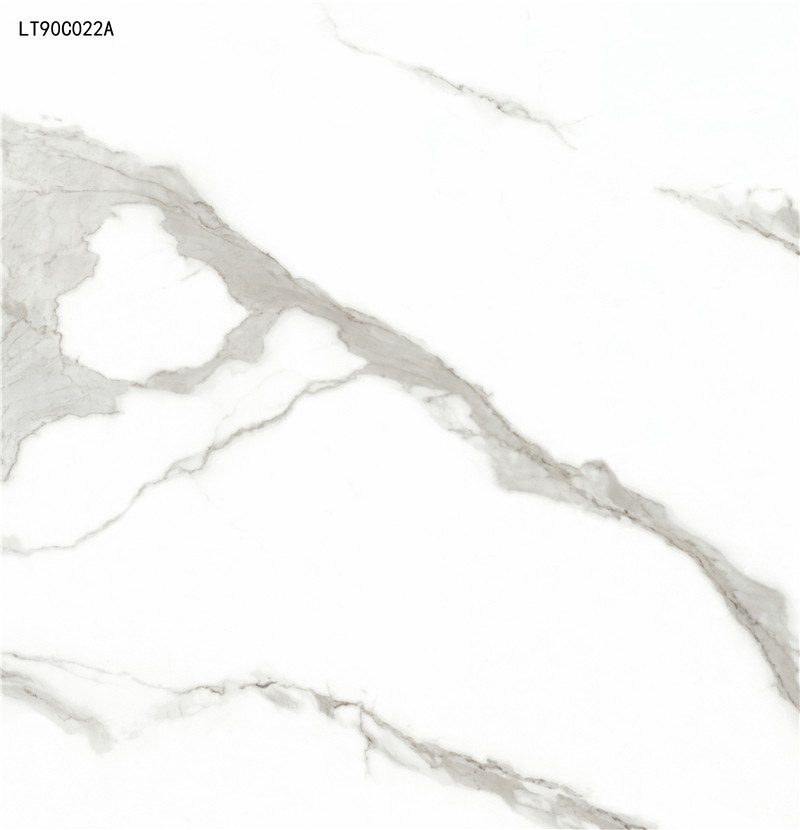 900*900 New Design Floor Tile Polished Porcelain in Foshan (LT90C022A)