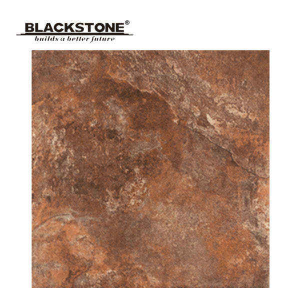 Competitive Price Matt Surface Rustic Flooring Tile 600X600 (E66046)