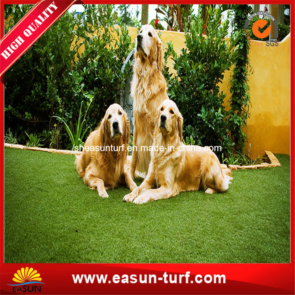 Artificial Moss Grass Wall for Decoration Garden