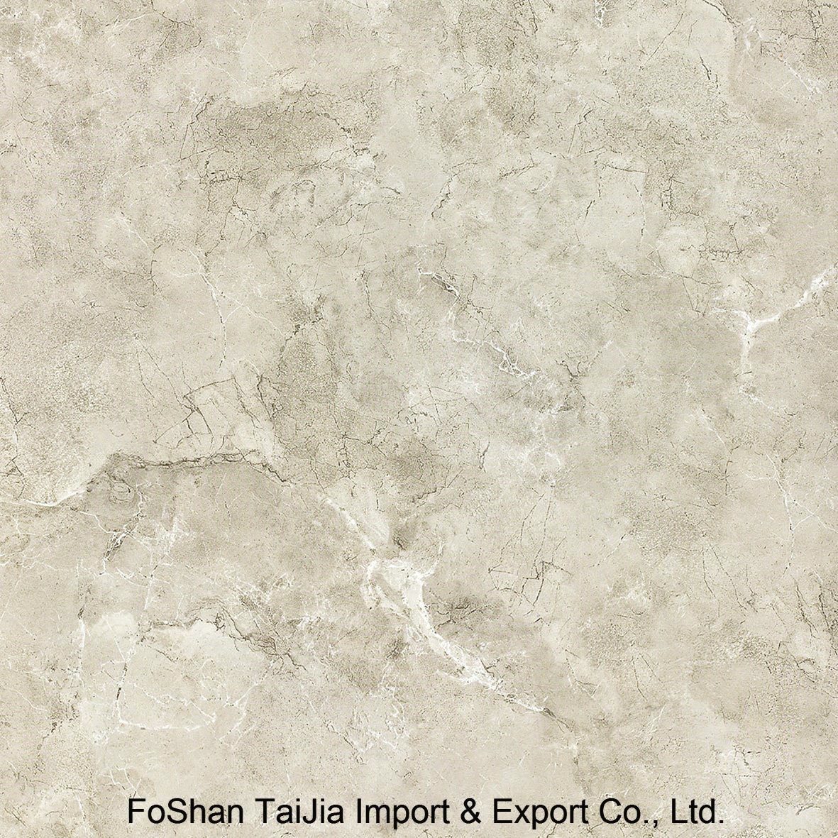 Full Polished Glazed 600X600mm Porcelain Floor Tile (TJ64002)