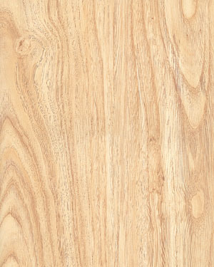 Laminate Flooring--Kn1188