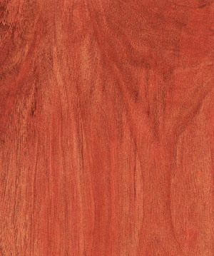 Laminate Flooring--Kn1239