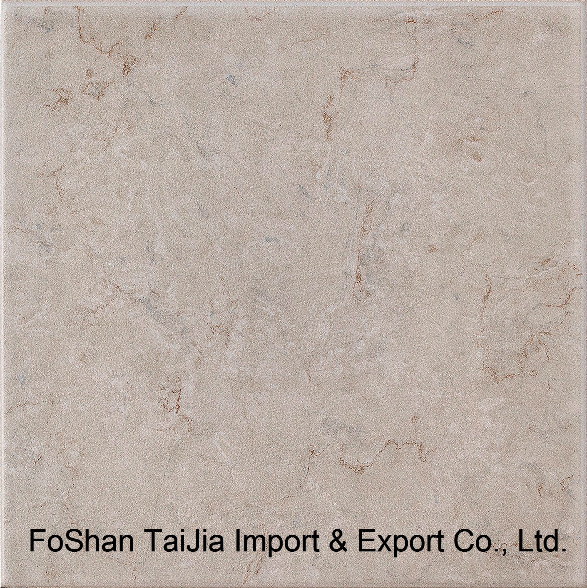 Building Material 300X300mm Rustic Porcelain Tile (TJ3024)