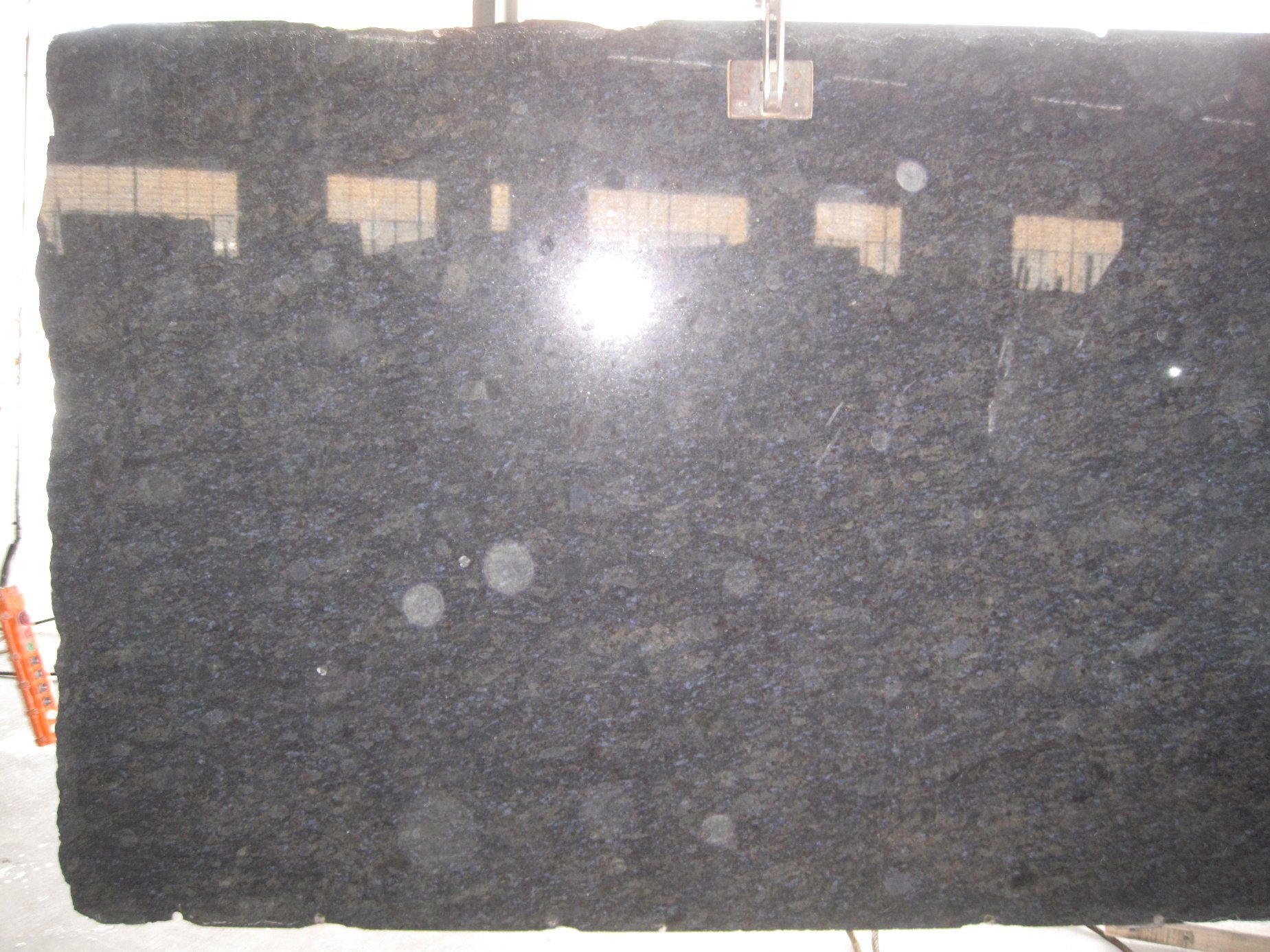 Butterfly Blue / Granite Slab for Kitchen/Bathroom/Wall/Floor