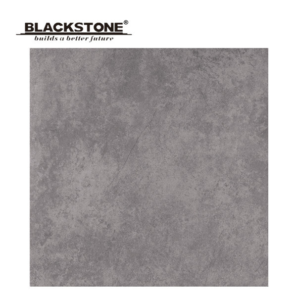 600X600 Glazed Rustic Flooring Tile with Matt Surface (BH6025)