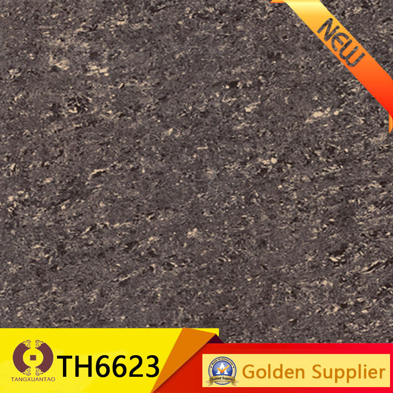 600X600mm Polished Tile Porcelain Wall Tile Flooring Tile (TH6623)