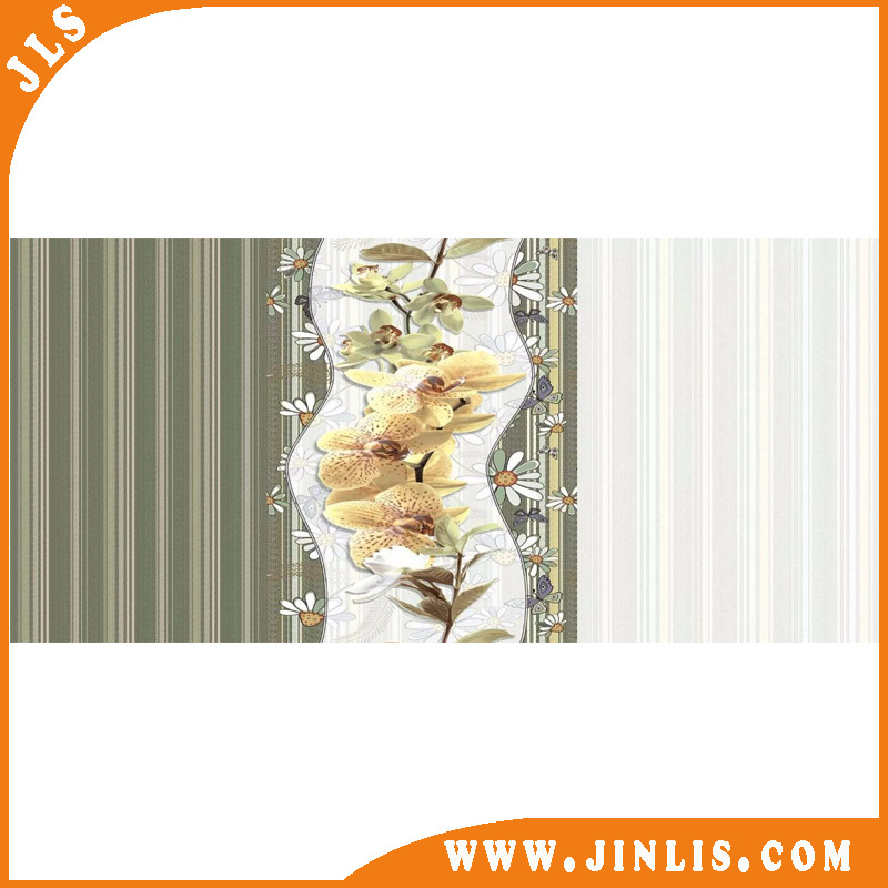 250*500mm Glazed Ceramic Wall Tile 3D Inkjet Tile