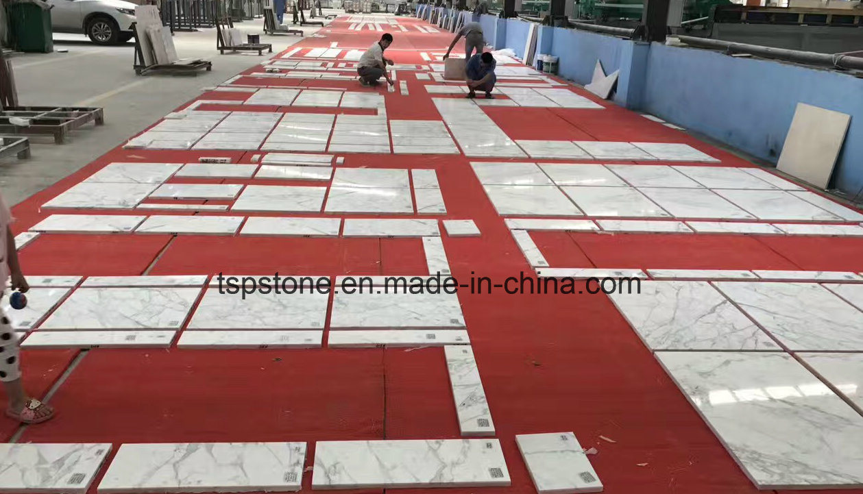 Building Material Stone White Marble for Floor Tile