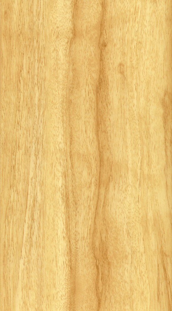 HDF Parquet Laminate Flooring 12mm U Groove AC3 CE