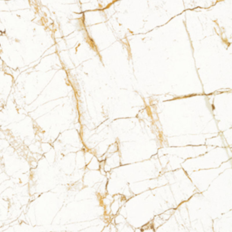 Grade AAA Nano Polished Inkjet Polished Porcelain Floor Tiles