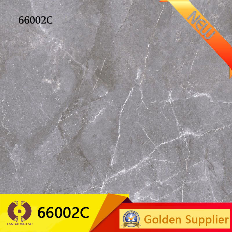 Marble Stone Tile Glazed Porcelain Tile Flooring and Wall (66002C)