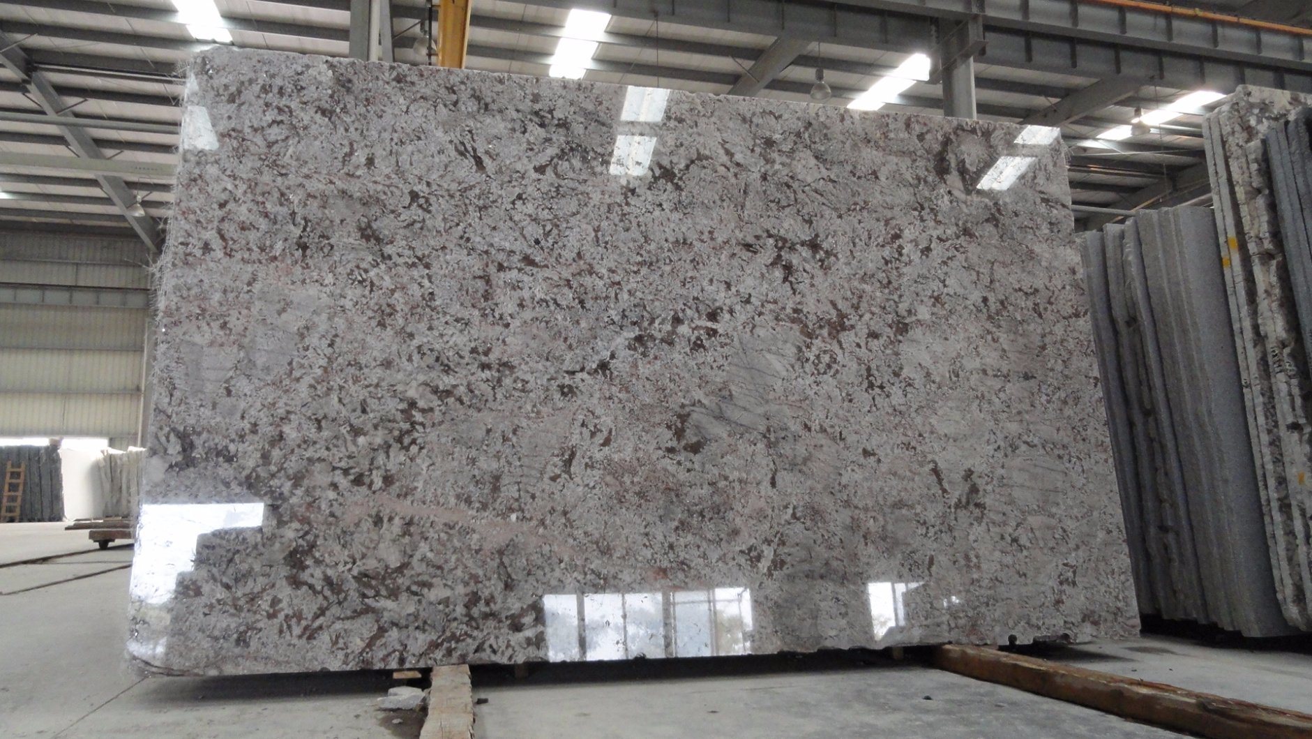 Biaco Antic Granite Slab for Kitchen/Bathroom/Wall/Floor